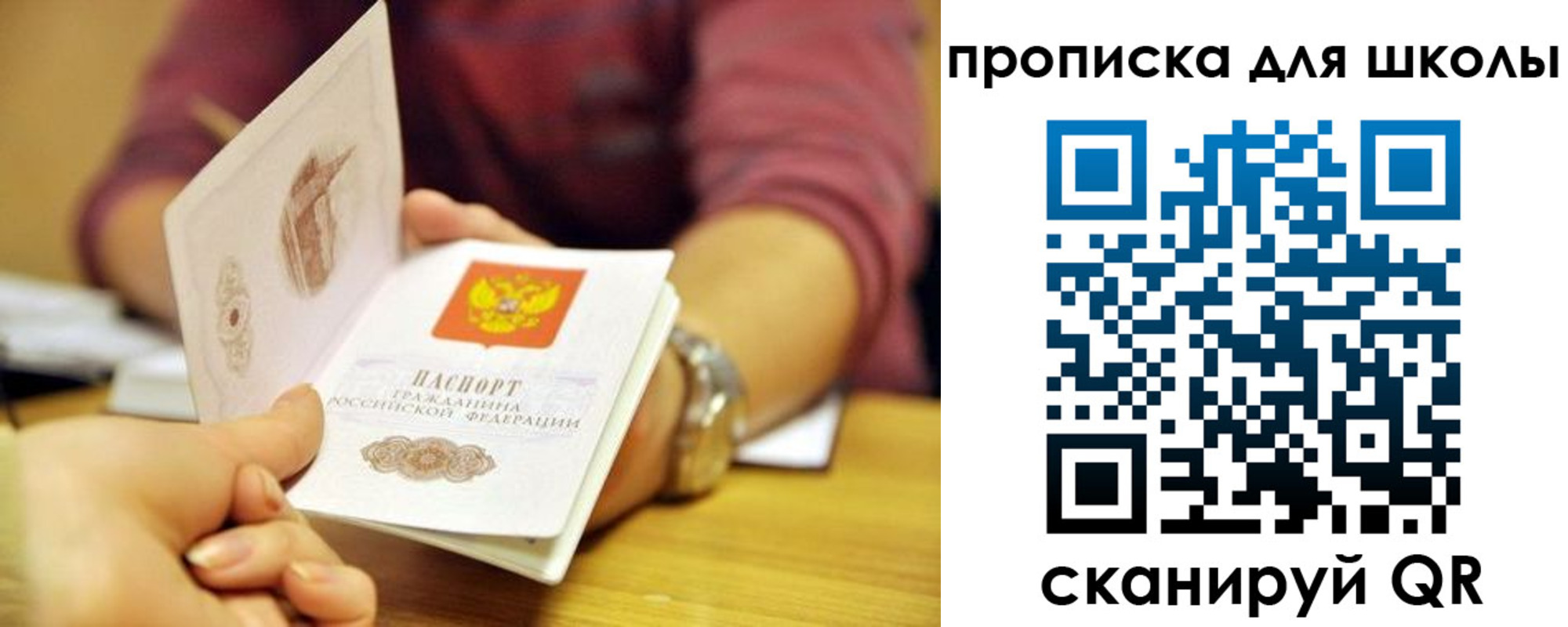 прописка гарантия в Высоковске